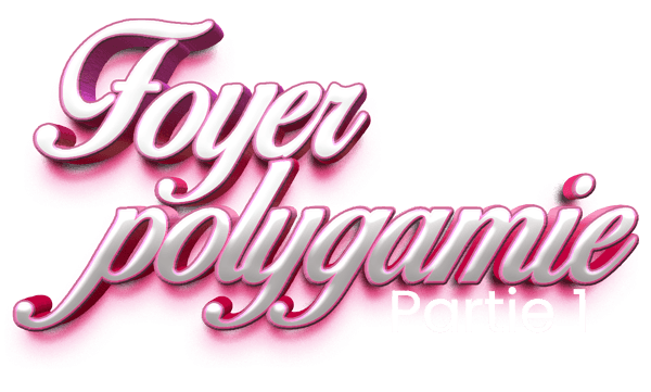 FOYER POLYGAMIQUE (Les déballeurs) saison 1