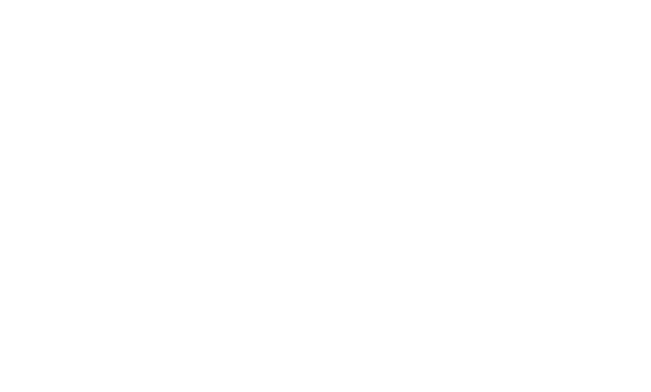 LA BATAILLE DES CHÉRIES
