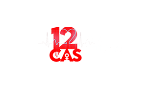 UNDER THE INFLUENCE (12 CAS)